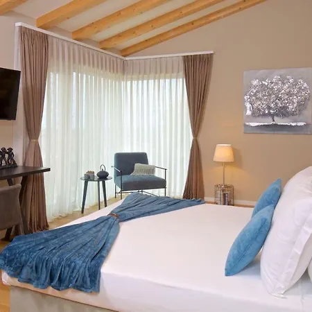 6 Bedrooms New With Amazing Views! Villa Brtonigla